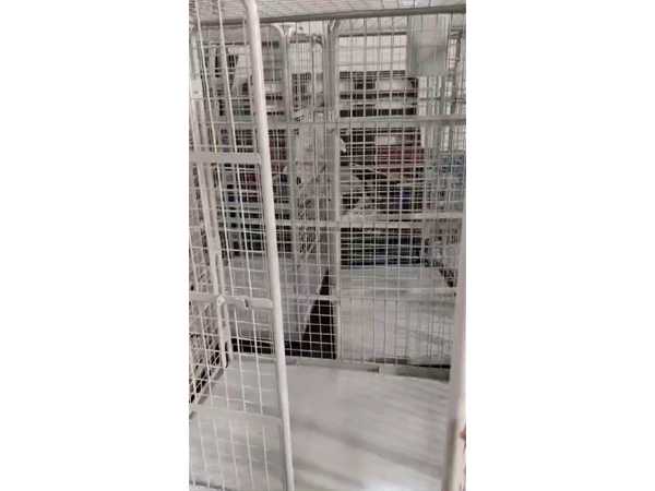 視頻展示